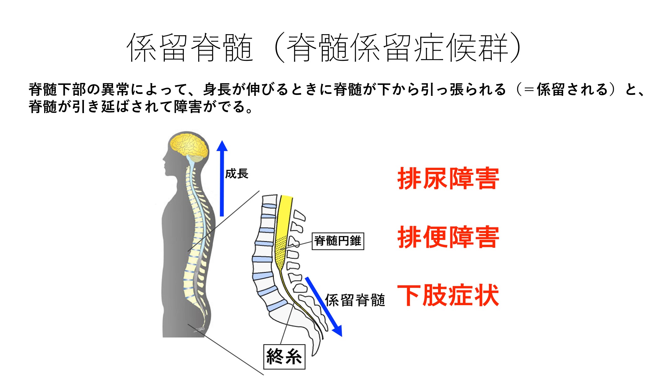 石坂Dr.図