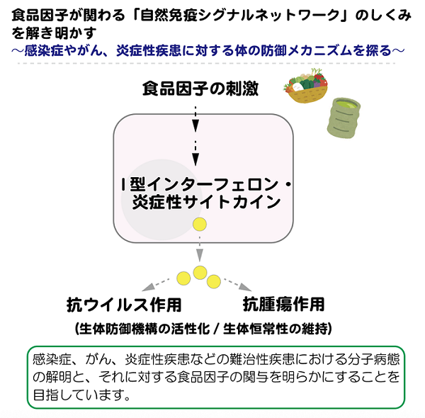 Hayakawa_Figure_small