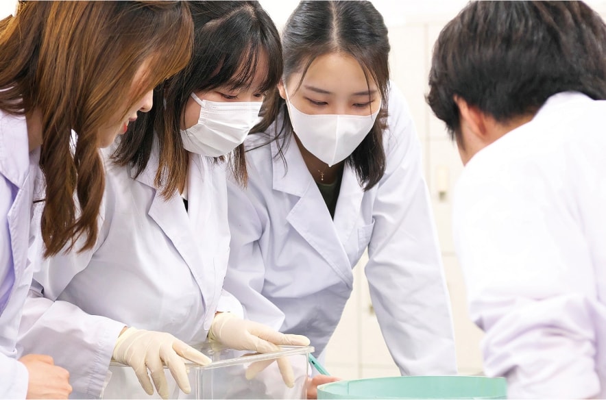 革新的な医学教育