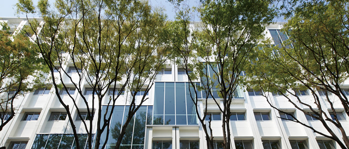 オープンキャンパス概要 オープンキャンパス 日本医科大学 オープンキャンパス概要 オープンキャンパス 日本医科大学