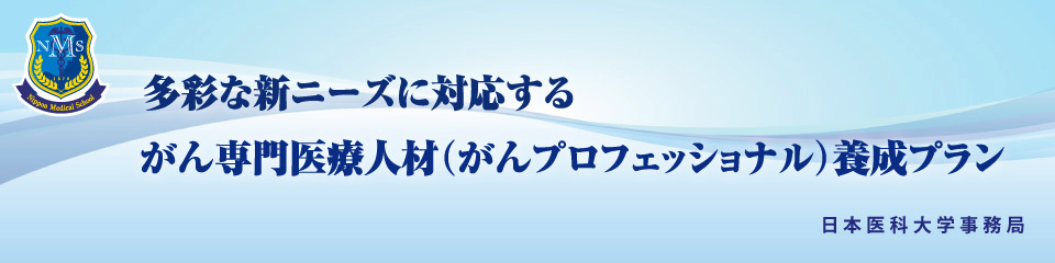 がん専門医療人材(がんプロフェッショナル)養成プラン