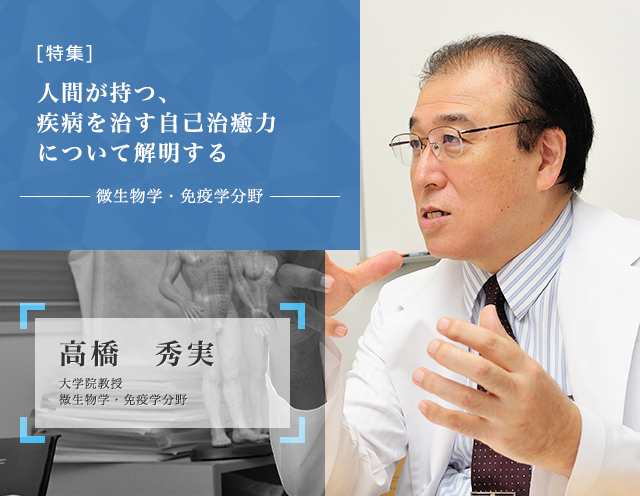 人間が持つ、自ら疾病を治す力について解明する 微生物学・免疫学教授 高橋 秀実