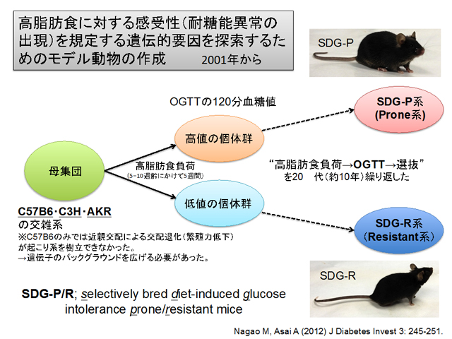 内分泌糖尿病代謝内科学分野 杉原 仁 大学院教授｜日本医科大学