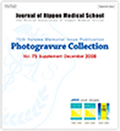 Photogravure Collection