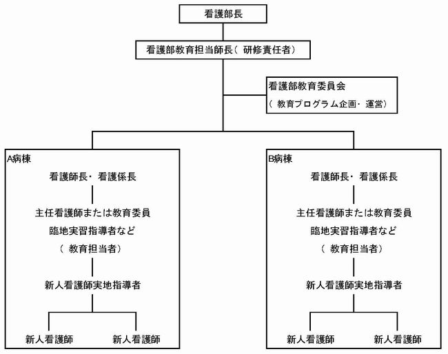 新人看護職員育成体制　図