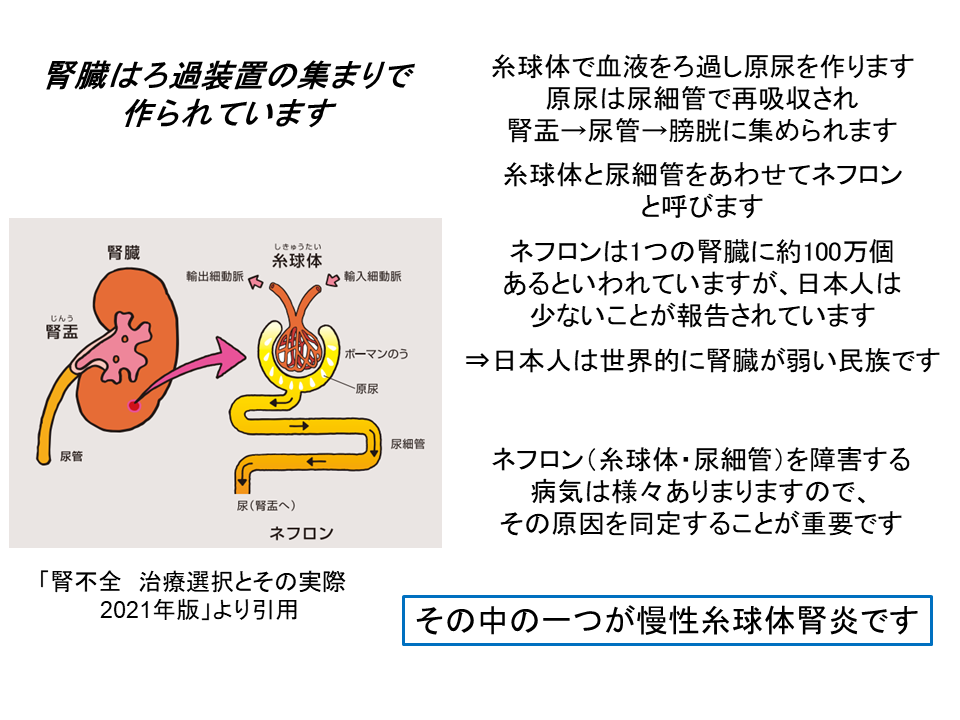 スライド1