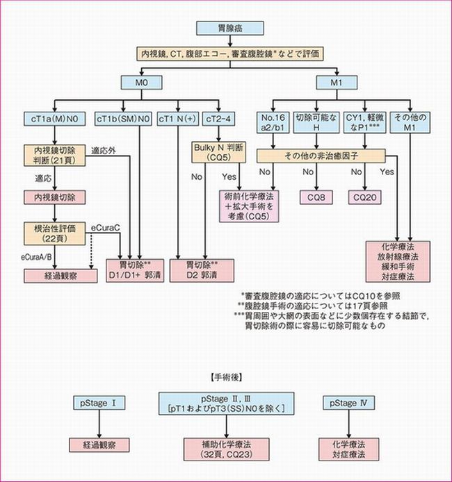 胃癌治療ガイドライン 治療方針のアルゴリズム 胃癌治療ガイドライン 治療方針のアルゴリズム